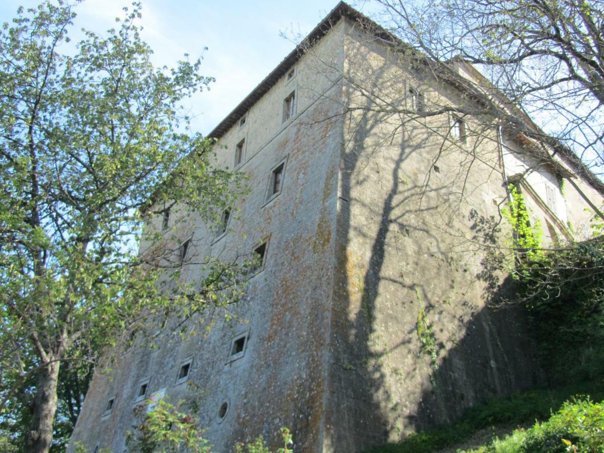 Casa Giuly Apartment Vivo d'Orcia Bagian luar foto