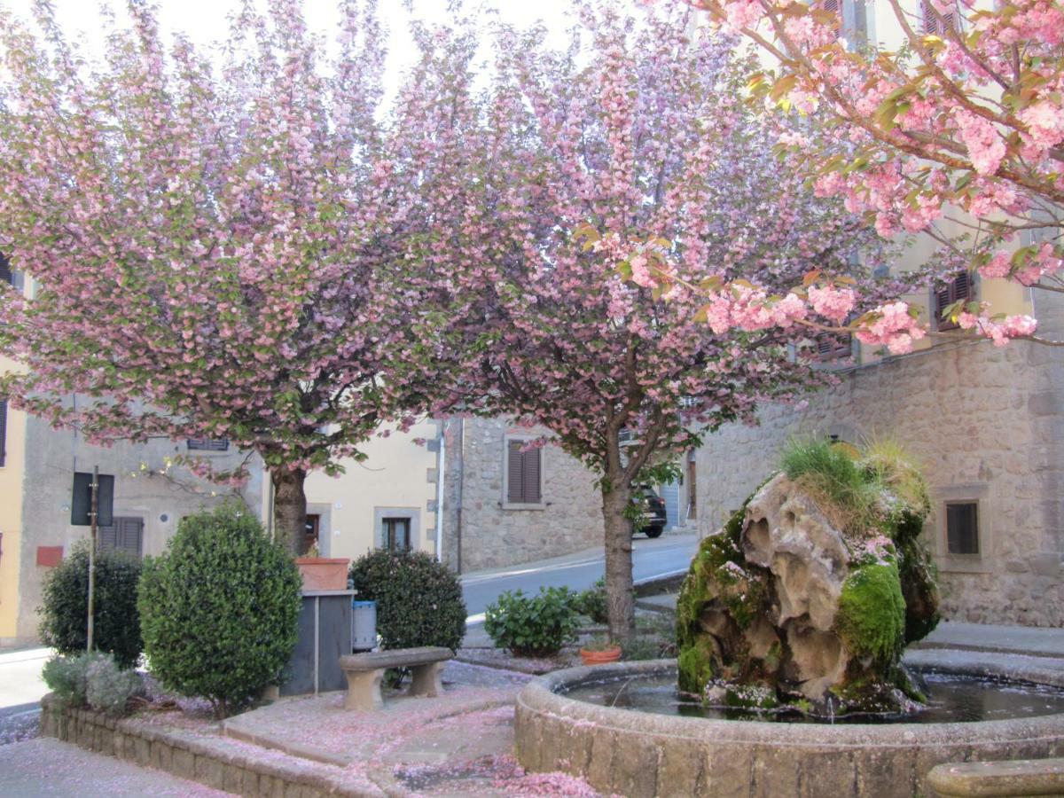 Casa Giuly Apartment Vivo d'Orcia Bagian luar foto