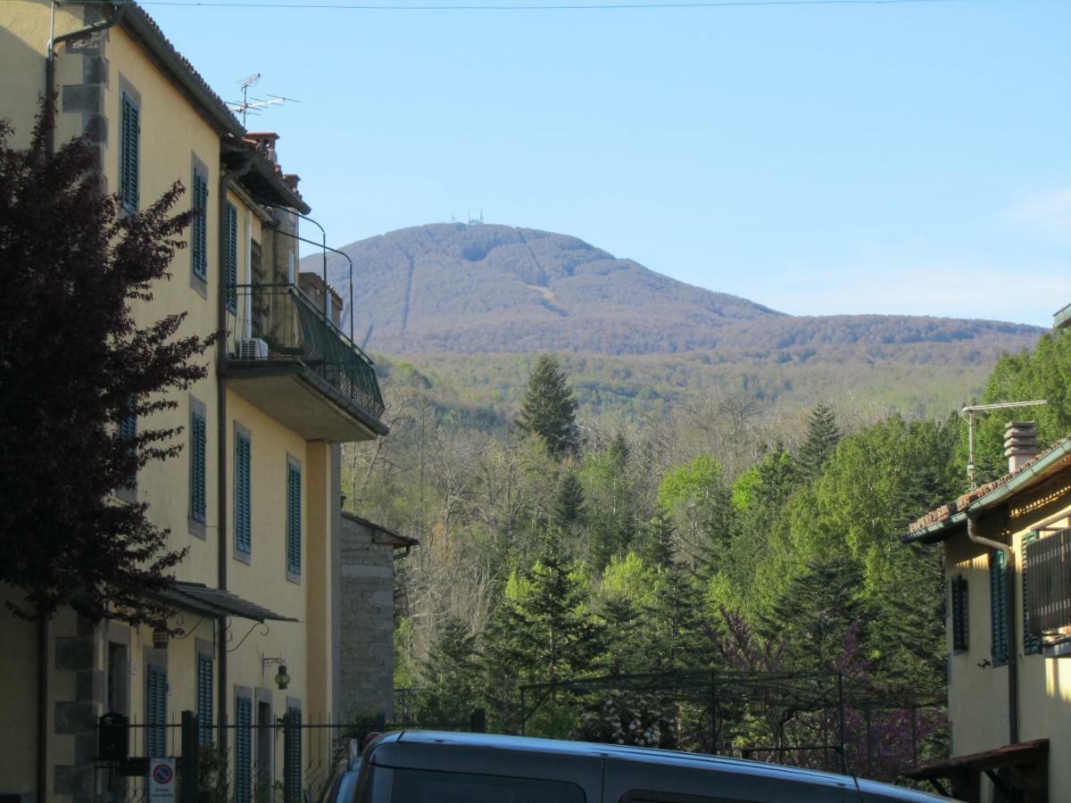 Casa Giuly Apartment Vivo d'Orcia Bagian luar foto